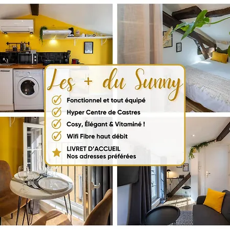 Le Sunny - Cocon Lumineux Au Cœur De * Castres (Tarn)