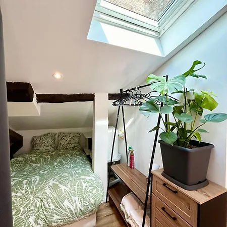 Le Sunny - Cocon Lumineux Au Coeur De Castres (Tarn)