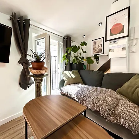 Le Sunny - Cocon Lumineux Au Coeur De * Castres (Tarn)