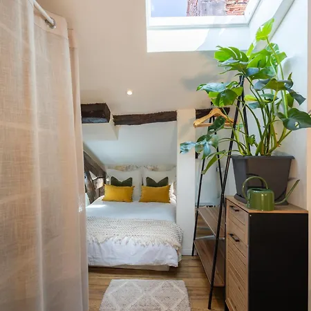 Апартаменты Le Sunny - Cocon Lumineux Au Coeur De Кастр