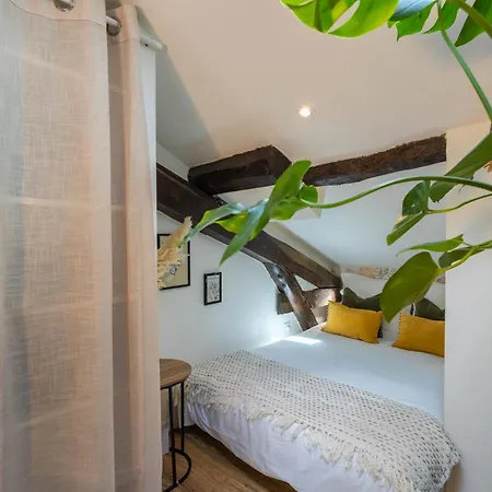 Le Sunny - Cocon Lumineux Au Coeur De * Кастр