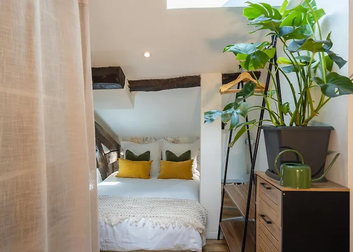 Appartement Le Sunny - Cocon Lumineux Au Cœur De Castres (Tarn)