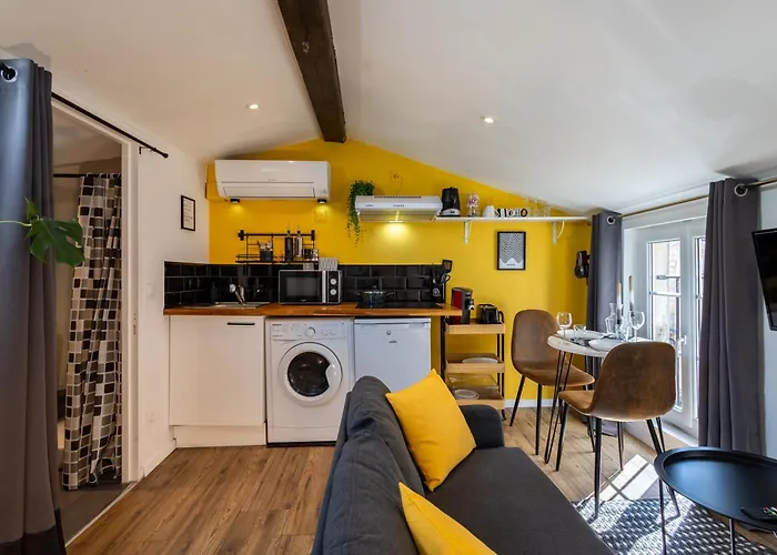 Appartement Le Sunny - Cocon Lumineux Au Cœur De Castres (Tarn)