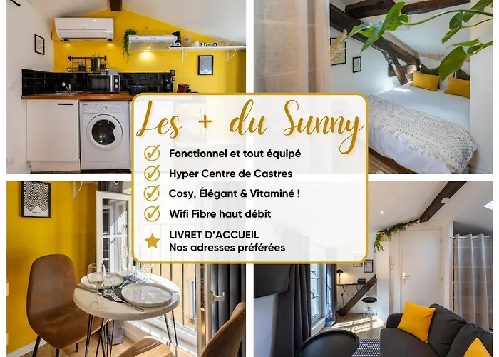 Le Sunny - Cocon Lumineux Au Cœur De * Castres (Tarn)