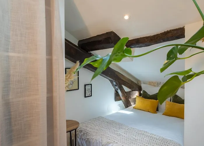 Le Sunny - Cocon Lumineux Au Cœur De * Castres (Tarn)