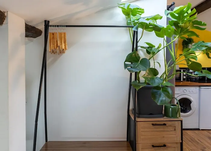 Le Sunny - Cocon Lumineux Au Cœur De Appartement *