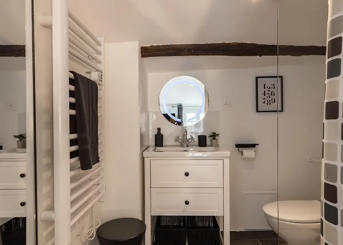 Le Sunny - Cocon Lumineux Au Cœur De Castres (Tarn)