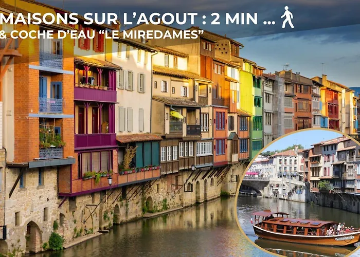 Le Sunny - Cocon Lumineux Au Cœur De Appartement Castres (Tarn)